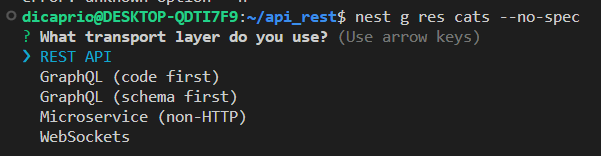 NestJS — generar recurso